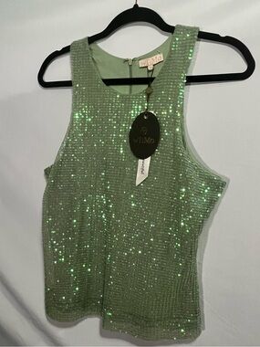 Gorgeous green sequin tank NWT